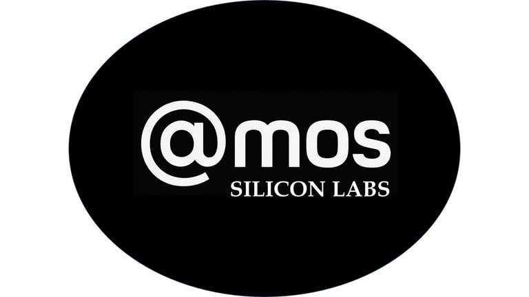 Best empowering company in Semiconductors through AI logo