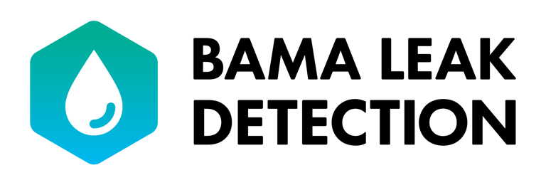 Bama Leak Detection logo
