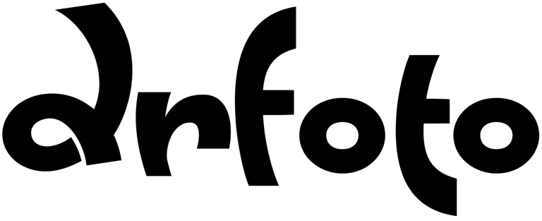 Dominykas Rokas foto logo