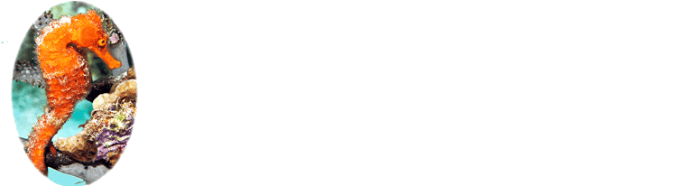 Ocean Visits Underwater Photography logo