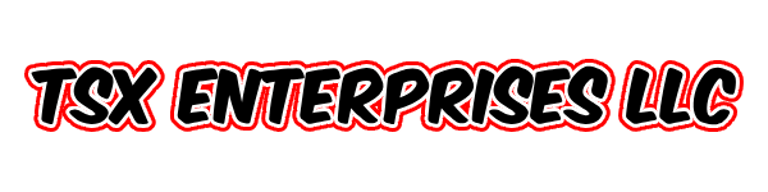 TSX Enterprises logo