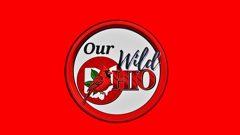 Our Wild Ohio logo