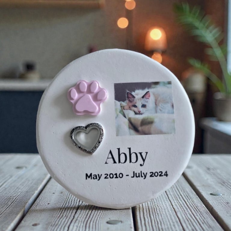 stone pet memorial with ash insert