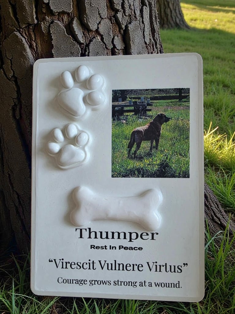 dog memorial with paw prints and bone