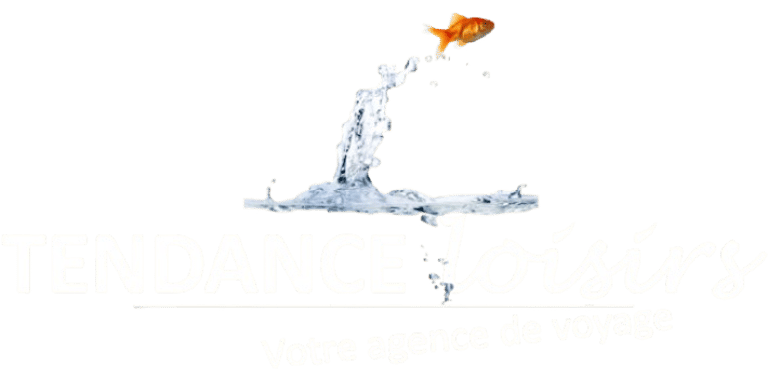 Tendance Loisirs logo