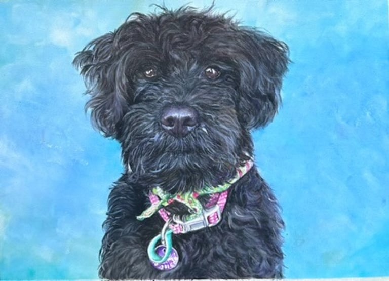Commissioned portrait of Labradoodle