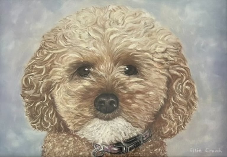 Commissioned Portrait of a Labradoodle