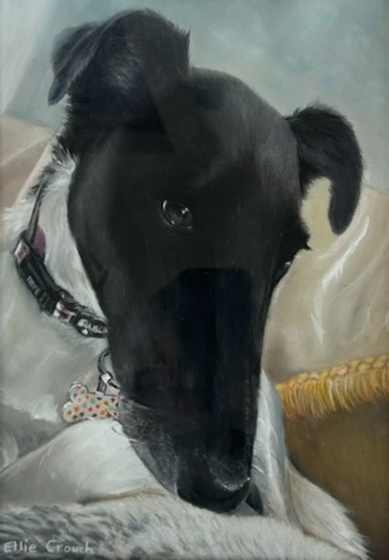 Commissioned pastel of fox terrier