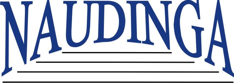 Naudinga logo