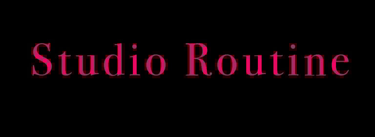 D Michael Studio logo