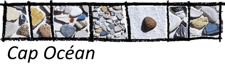 Location vacances vue mer Pornic Cap Ocean logo