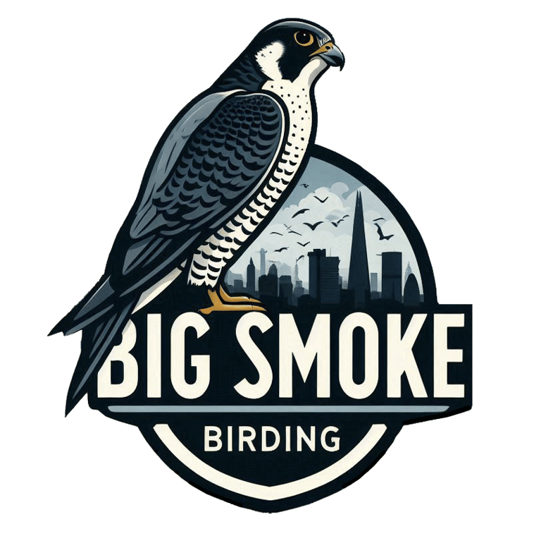 Big Smoke Birding Ltd logo