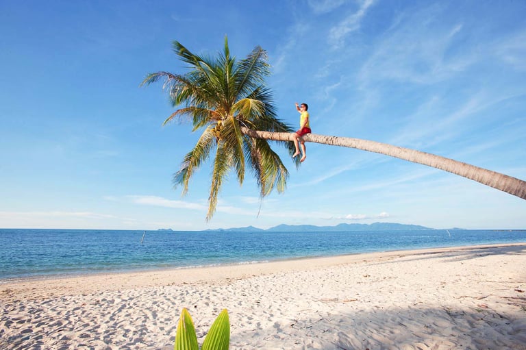 Solo traveler on leaning palm above Phu Quoc beach
