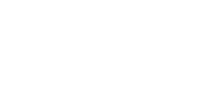 Emanoel Ferreira logo