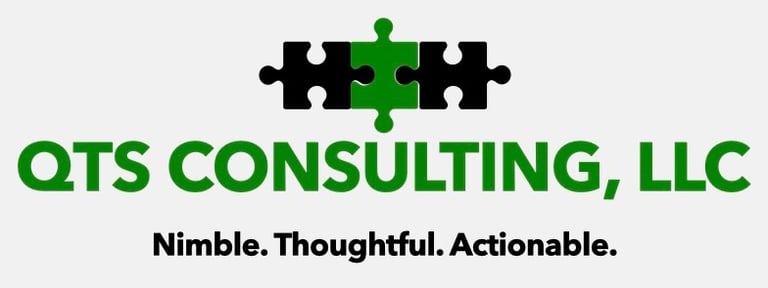 QTS CONSULTING, LLC logo