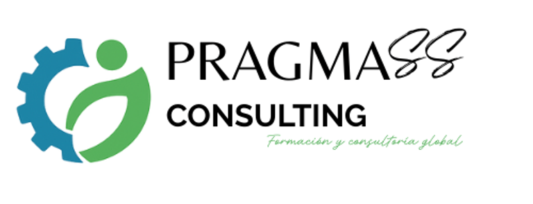 Pragma SS Consulting logo