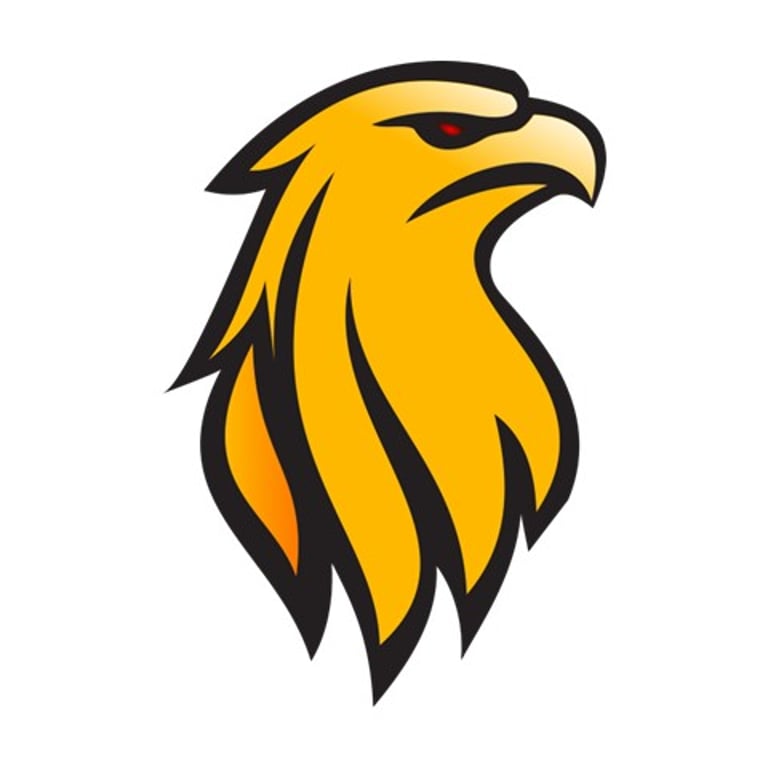 NAEEM ABBAS logo