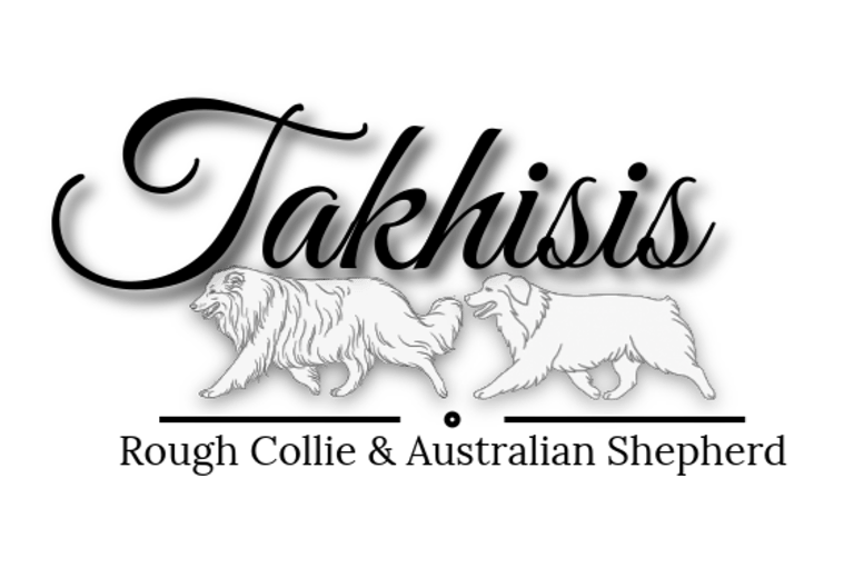 Takhisis Rough Collies logo