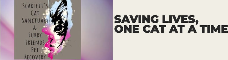 Scarlett's Cat Sanctuary & Furry Friends Pet Recovery logo