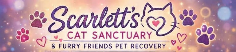 Scarlett's Cat Sanctuary & Furry Friends Pet Recovery logo