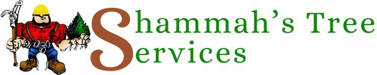 Shammah's logo
