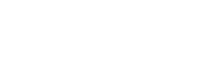 Fernel Studios logo