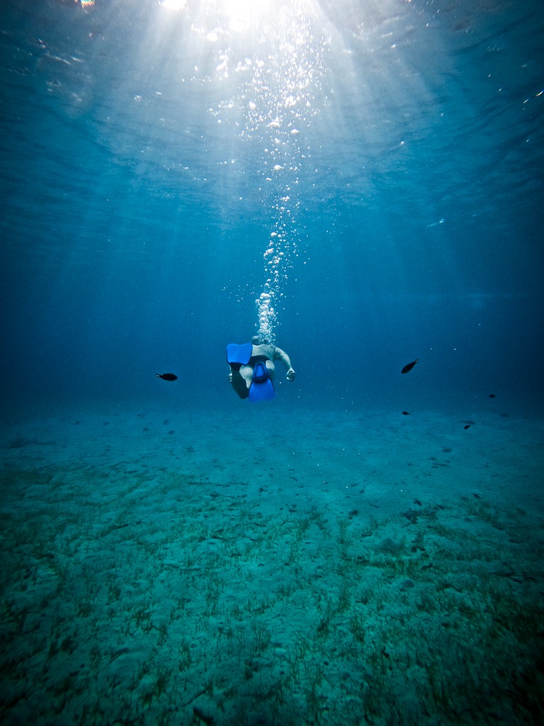 freediver 