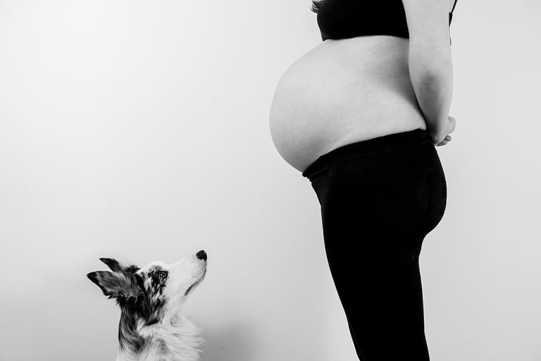 retrato embarazada con perro