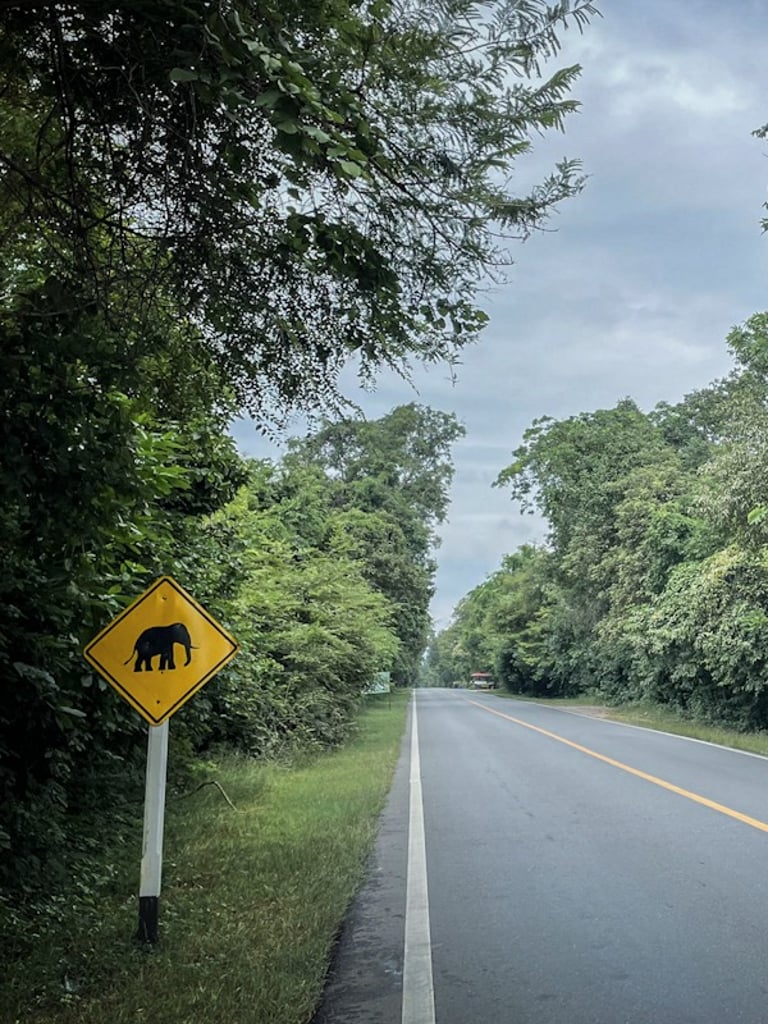 Sign warning of elephants on the road