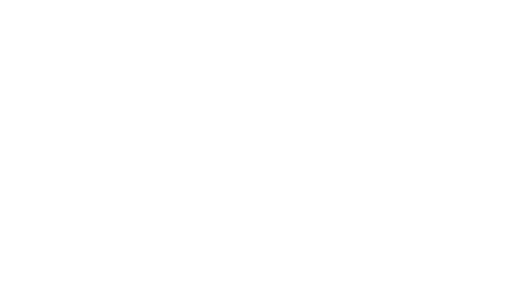 TS advisors logo