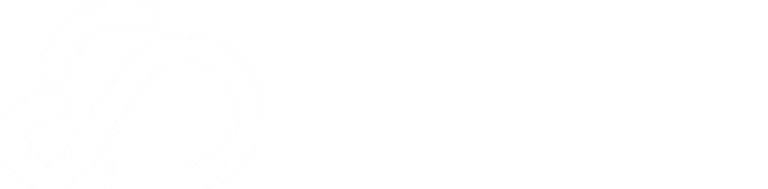 Wifeel logo
