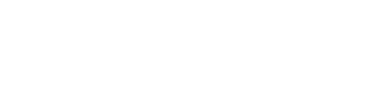 zap mci logo