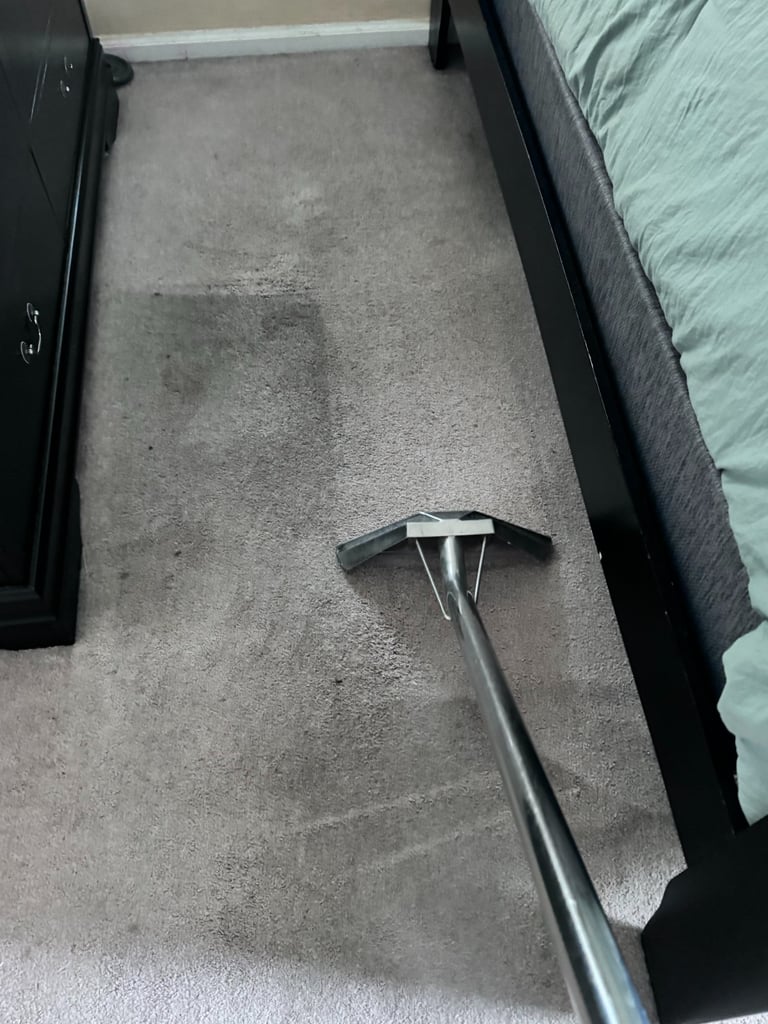 steamaster carpet cleaning bedroom in Mid Michigan