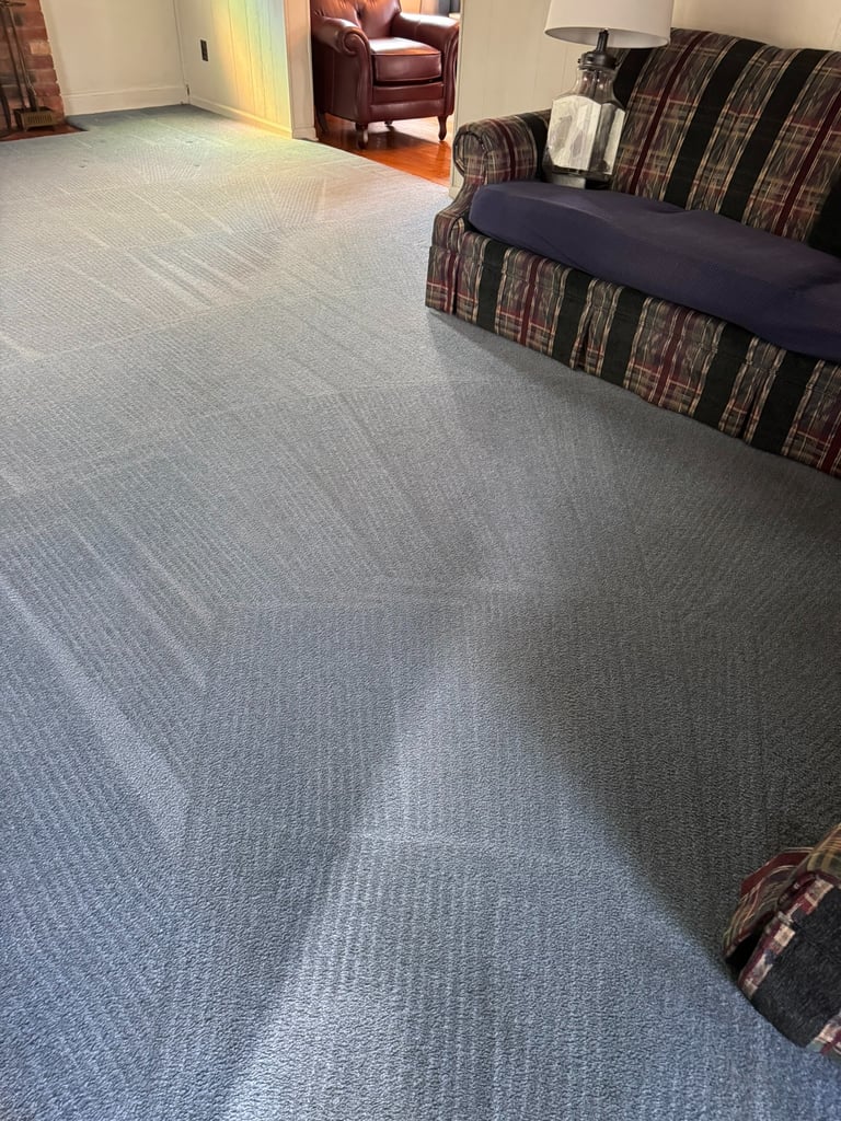 Livingroom cleaned by Steamaster in Mid-Michigan