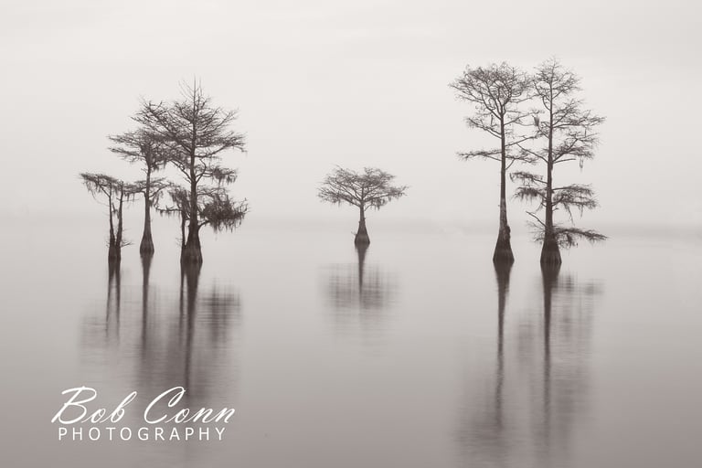 Fog covered lake