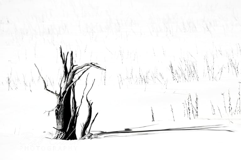 Contrast and shadow