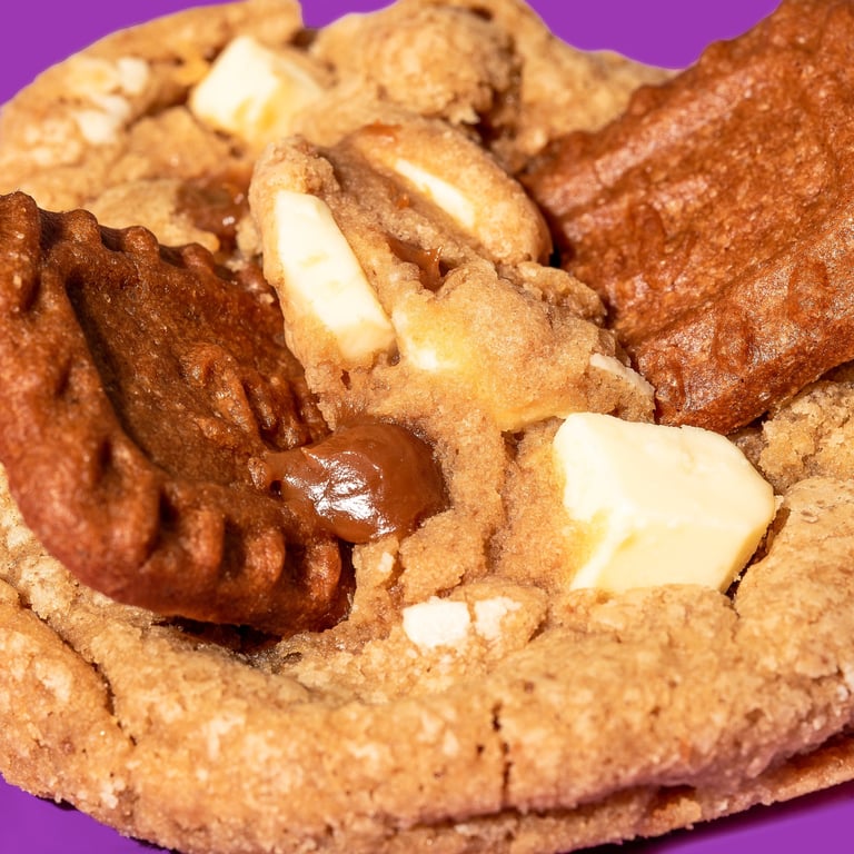 Close up of biscoff cookie