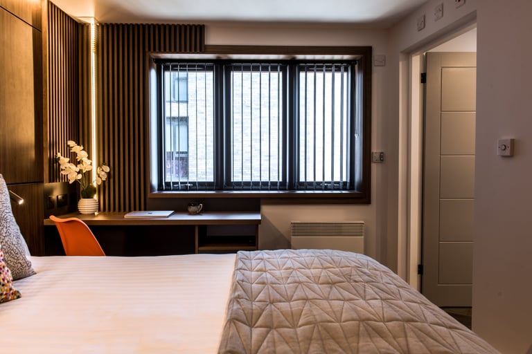 Interior cross section of some features of a studio apartment