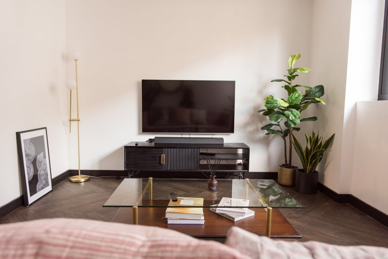 Sofa perspective of the television