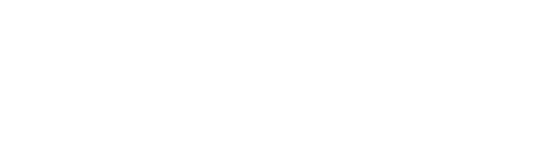FLYWHEEL ME logo