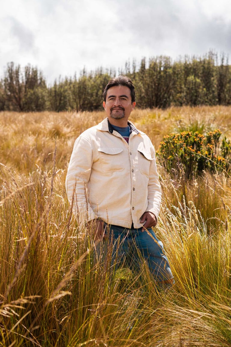 Retrato profesional de hombre en un prado con colores dorados