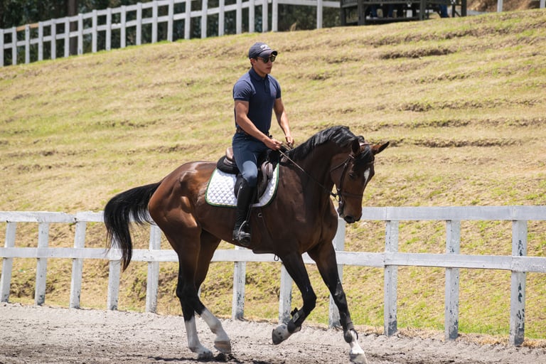 Hombre musculado montando un caballo fornido de color marrón