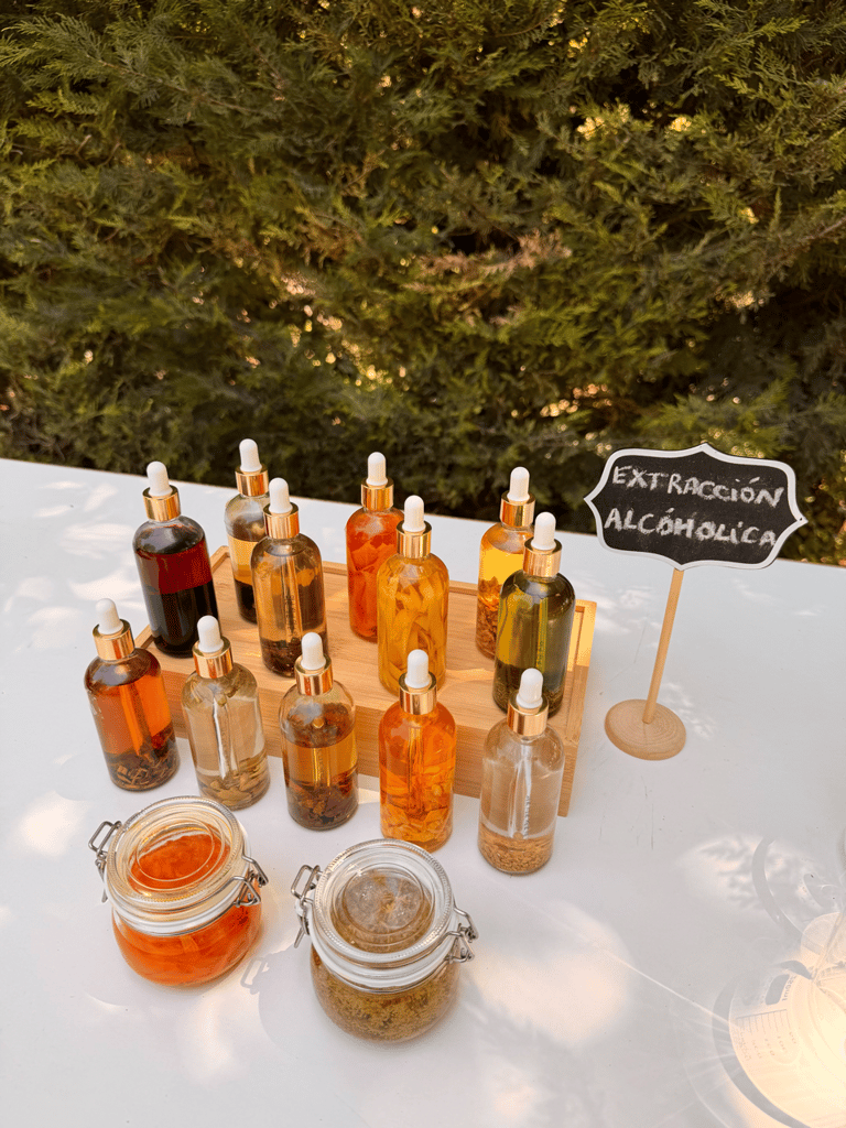 taller de vermut