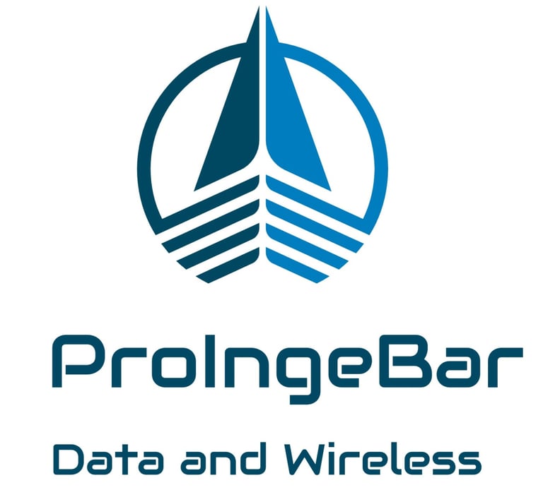 PROINGEBAR SPA logo
