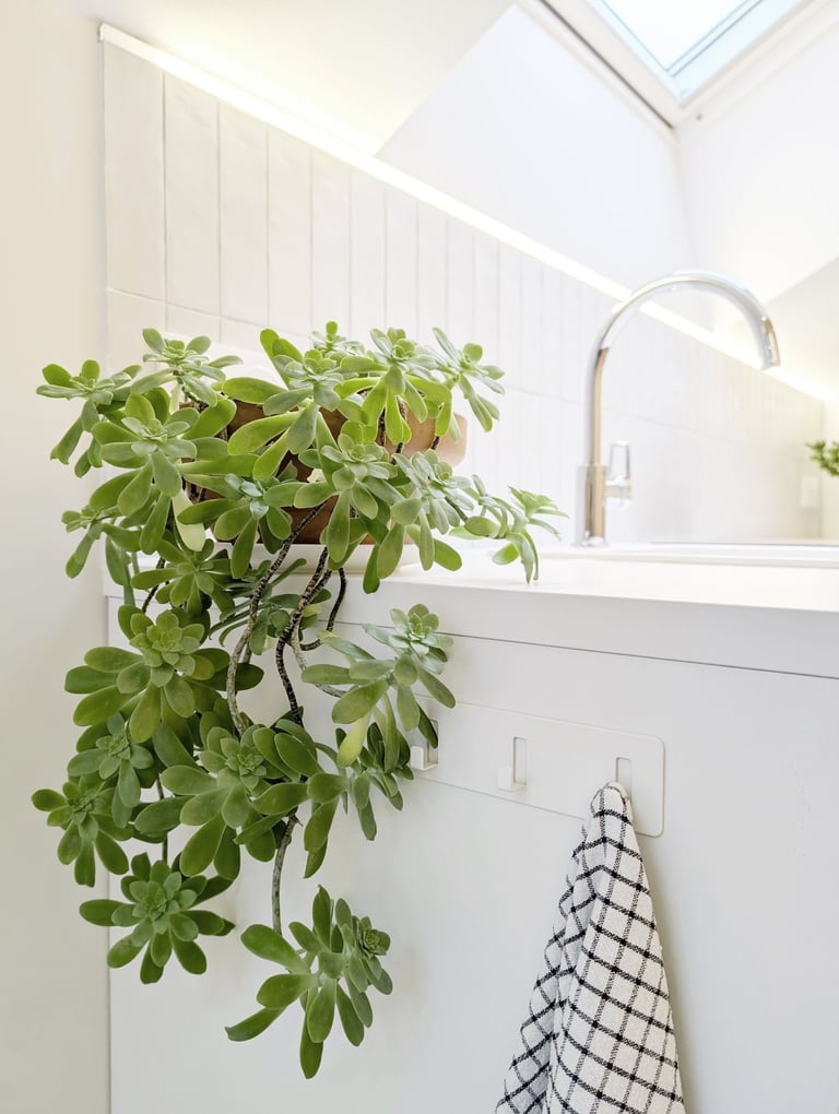 Appartement studio Angers - cuisine - Anthony Corbel CASA architecte Angers