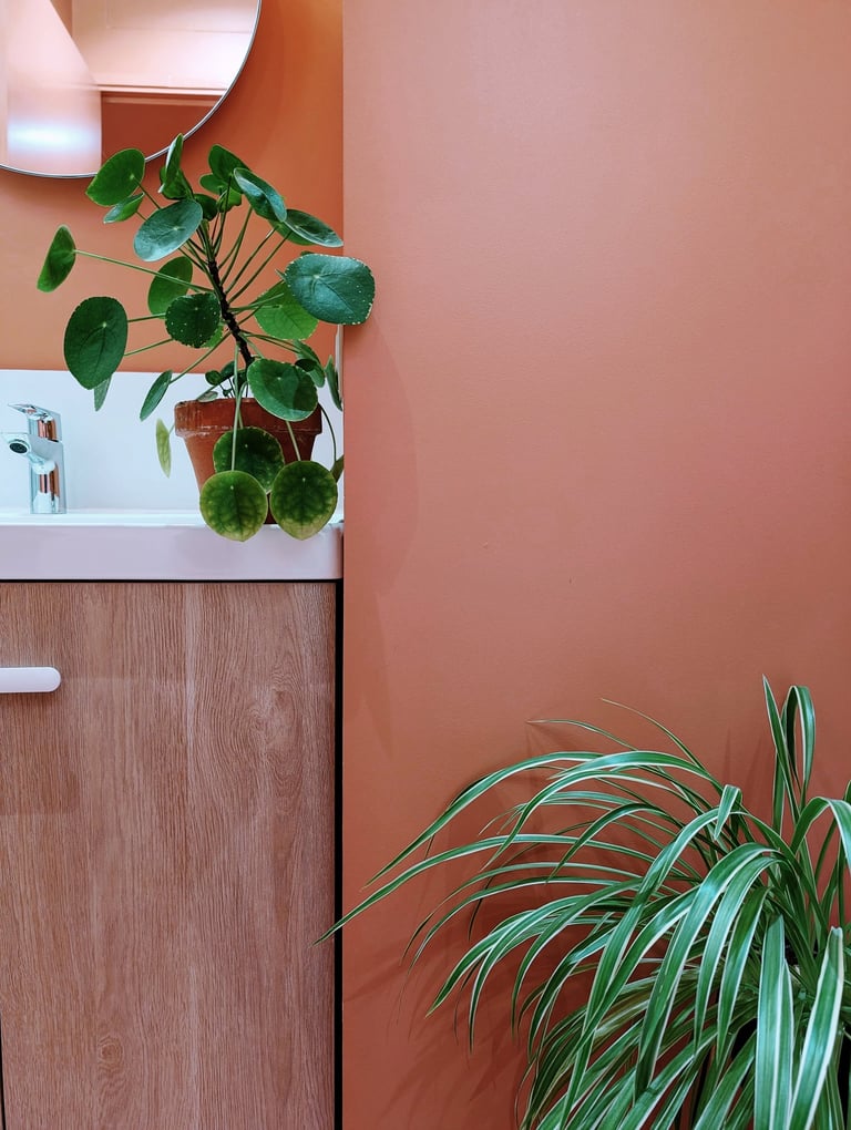 Appartement studio Angers - salle d'eau - Anthony Corbel CASA architecte Angers