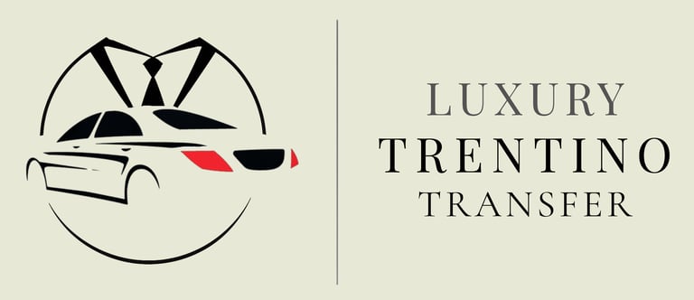 luxury trentino transfer logo