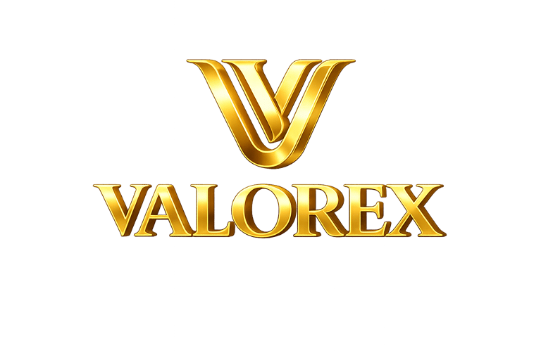VALOREX GLOBAL CORPORATION logo