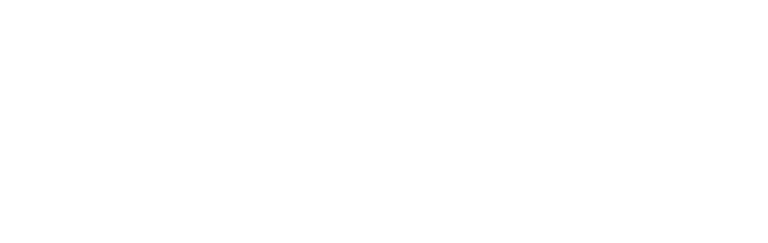 Next IC Technologies logo