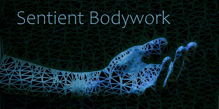 Sentient Bodywork logo